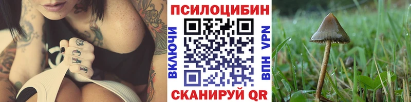 Псилоцибиновые грибы мухоморы  Суджа 