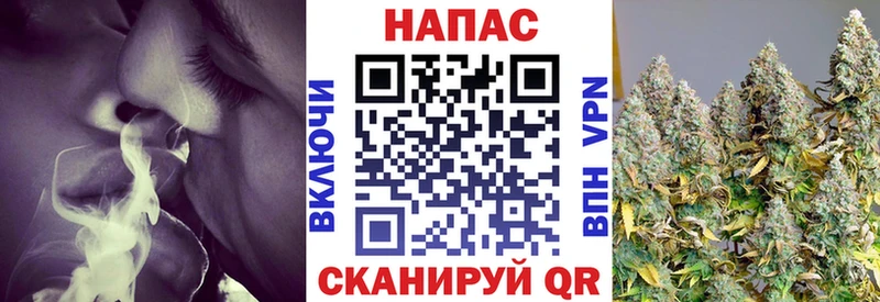 Бошки Шишки сатива где можно купить наркотик блэк спрут рабочий сайт Суджа